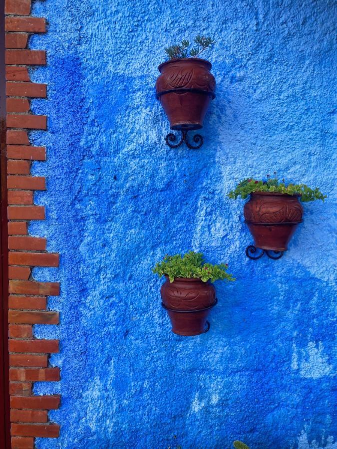 Villa Authentique Avec Vue Panoramique A 3 Km De Chefchaouen Extérieur photo